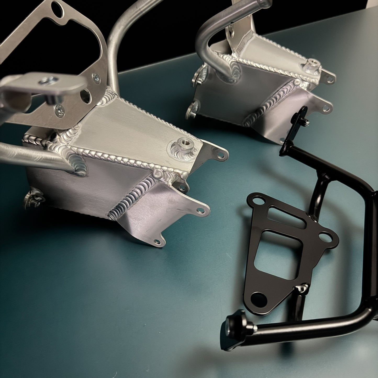 #m2s TRIUMPH Halter