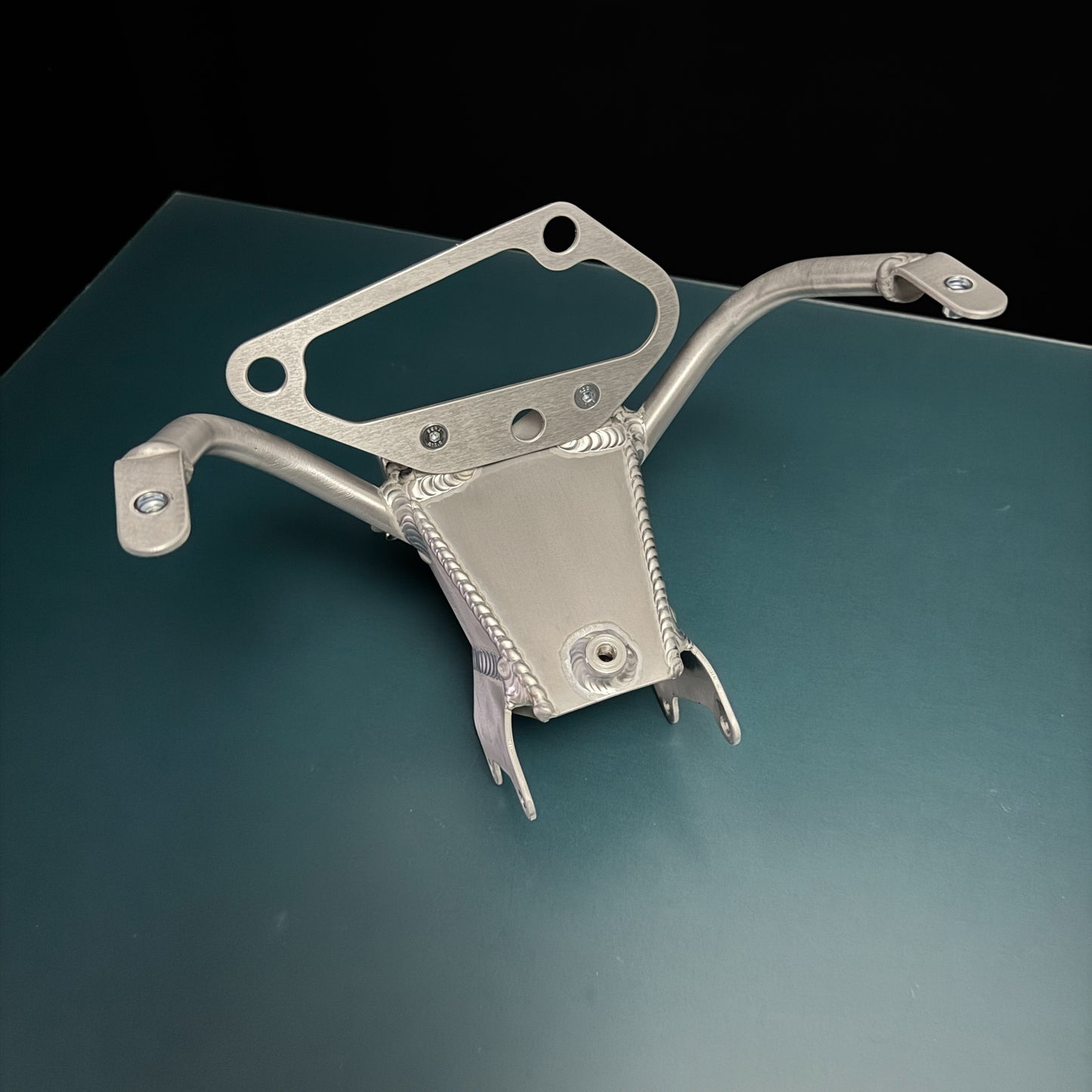 #m2s TRIUMPH Halter