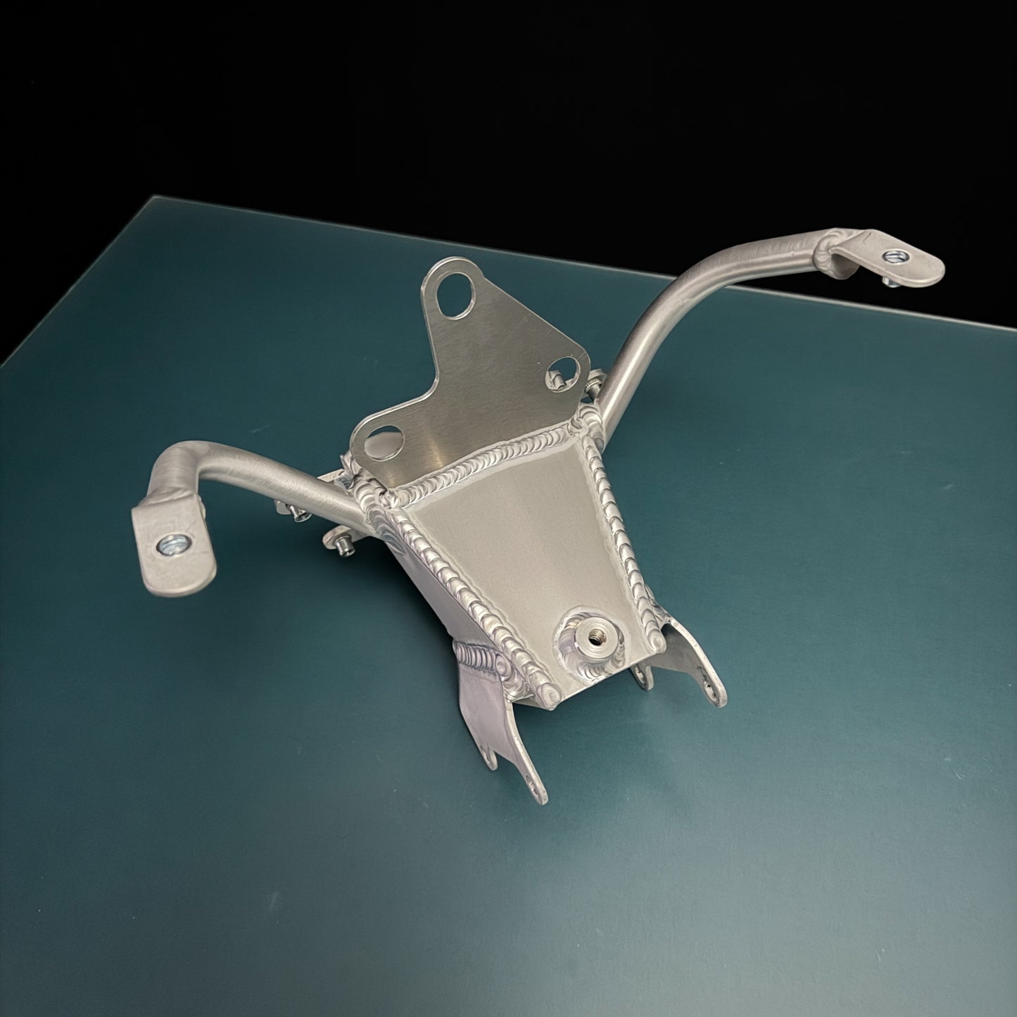 #m2s TRIUMPH Halter