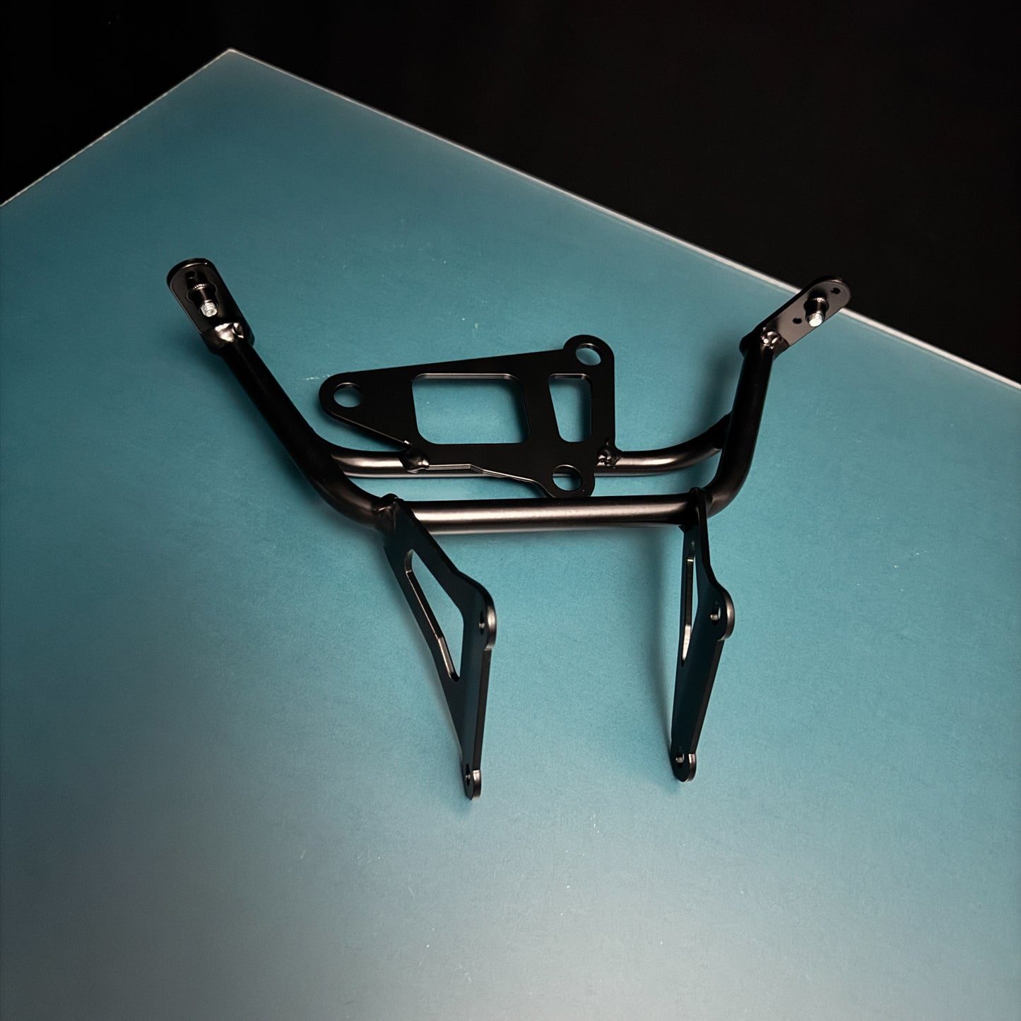 #m2s TRIUMPH Halter