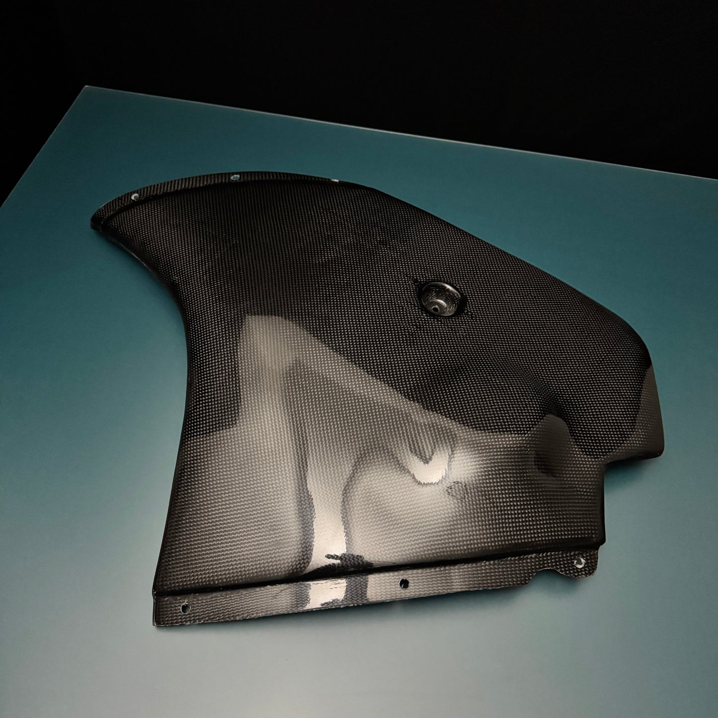 #m2s CARBON Carenados (solamente)