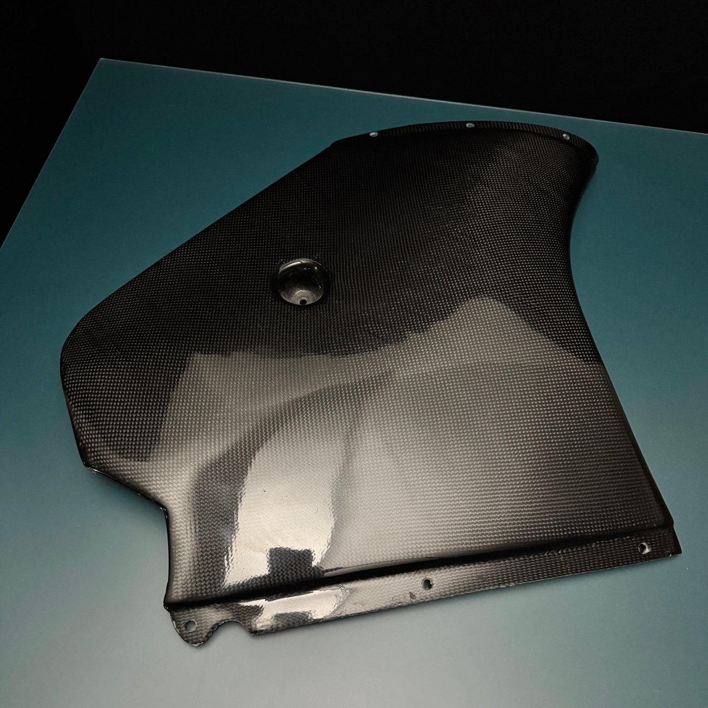 #m2s CARBON Carenados (solamente)